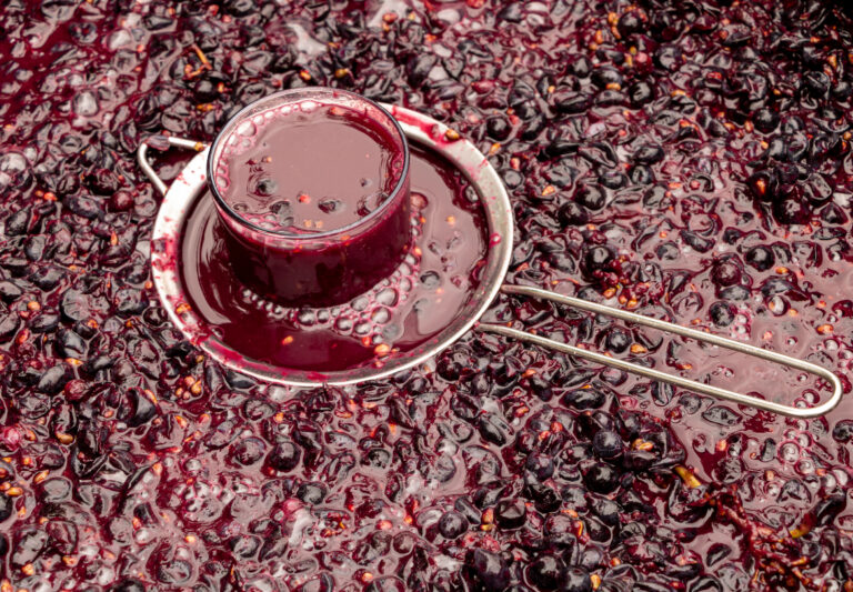 Post Fermentation Management Choices for Red Wines The Grapevine Magazine