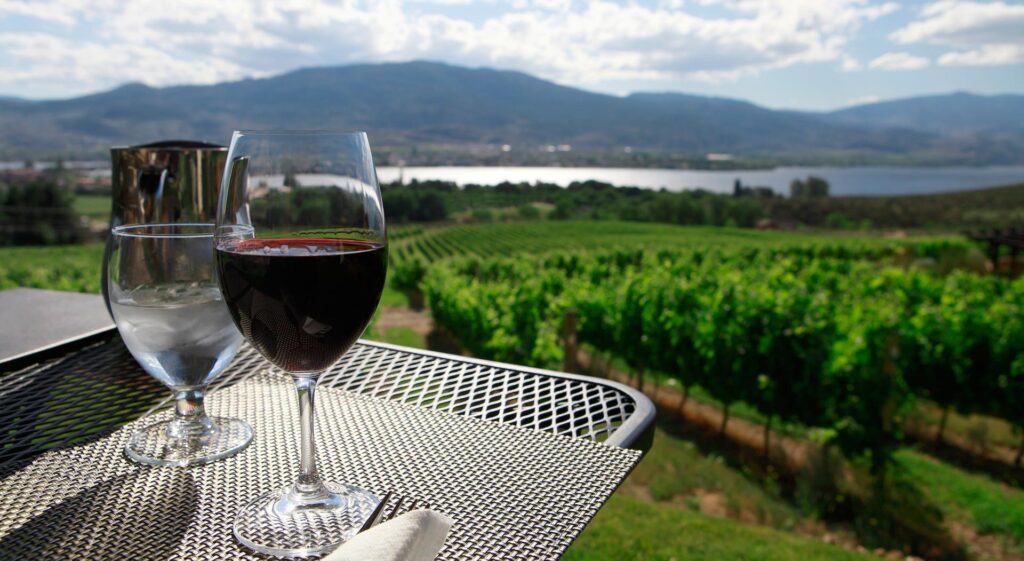 2 wine glasses on an overlooking vineyard