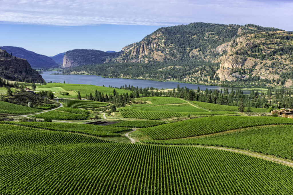 The Okanagan: British Columbia’s Vine Valley