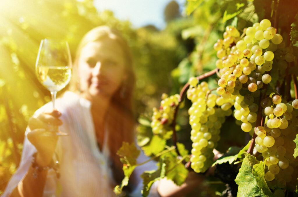 Is Wine Culture Nature’s Saving Grace?