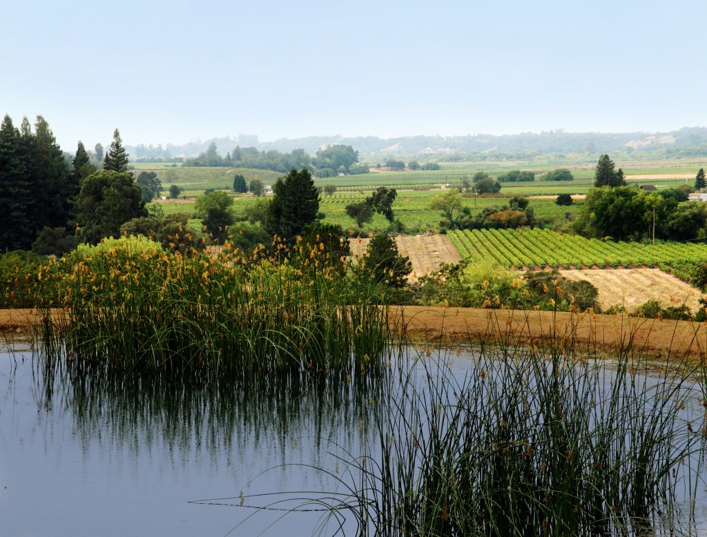 pond for crops
