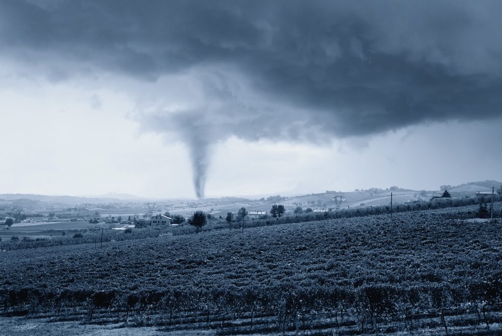 a nearby tornado from a vineyard