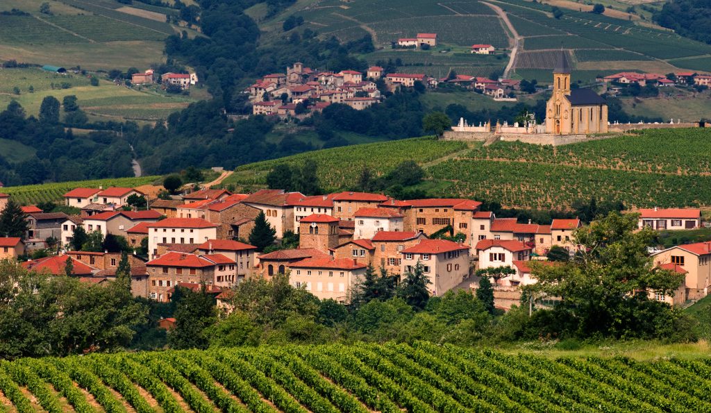 overlooking village surrounding a wine field