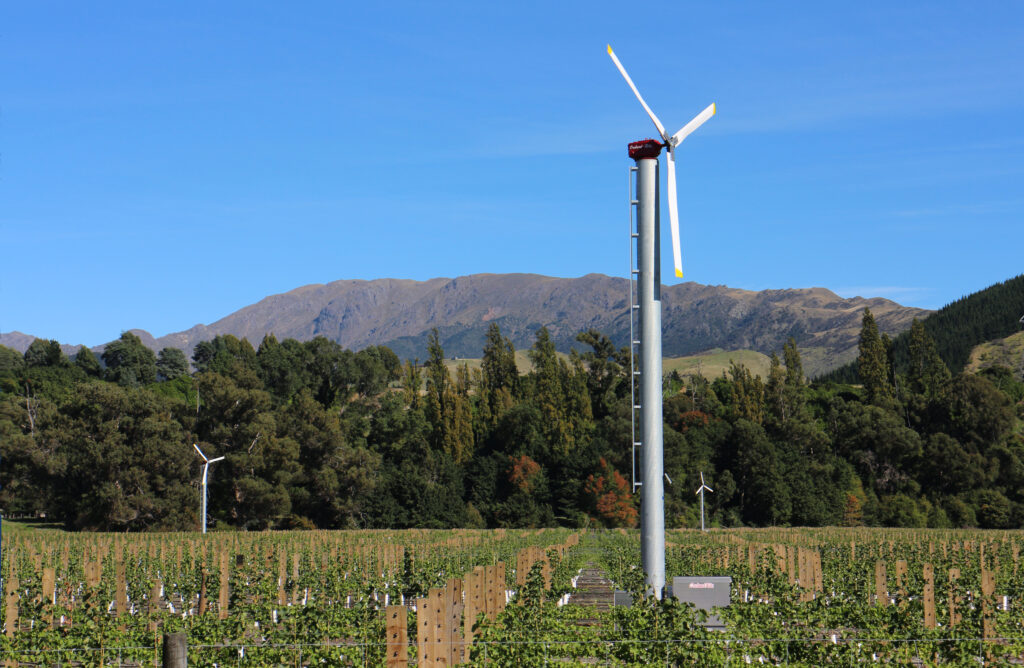 windmills in grape farm