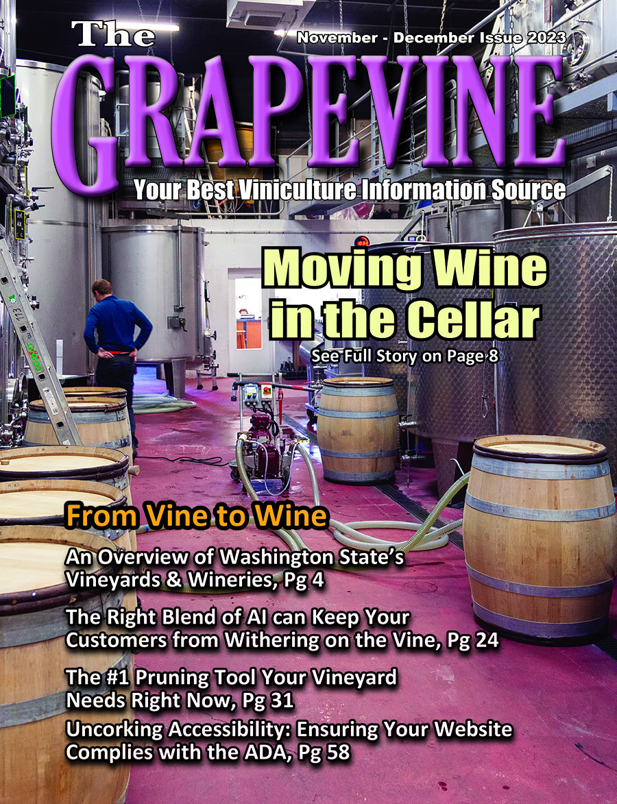 Grapevine Moving Wine in the Cellar