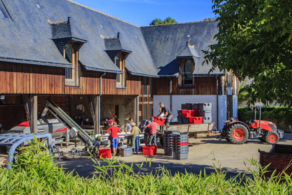 Photo of winery building with grape crushing equipment and people using bins to put grapes on crushing equipment