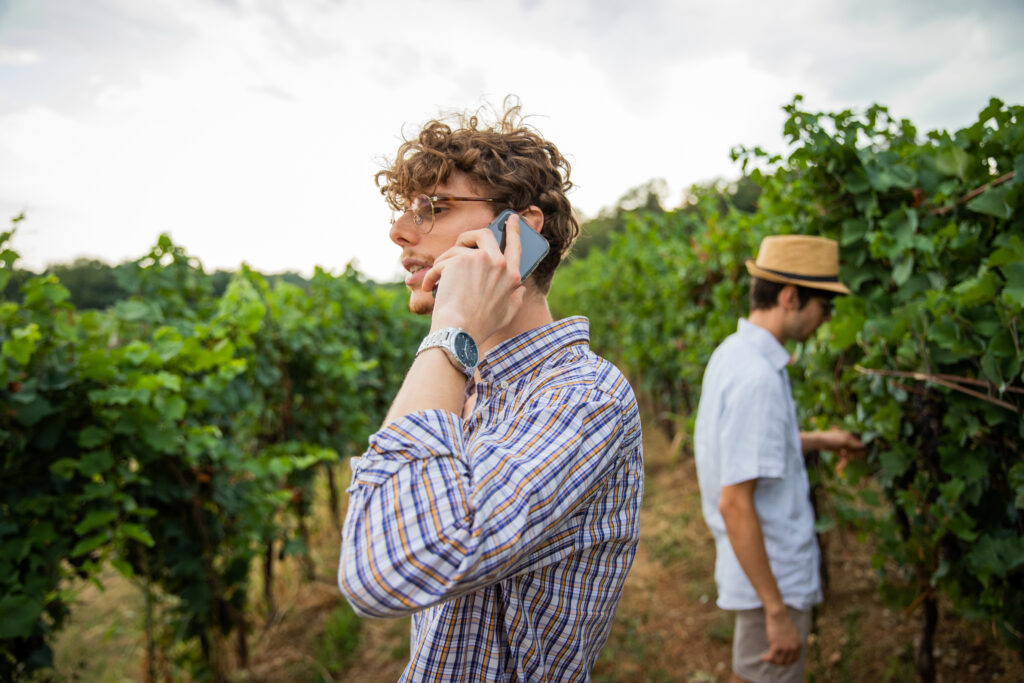 man on phone in vineyard looking at crop damage