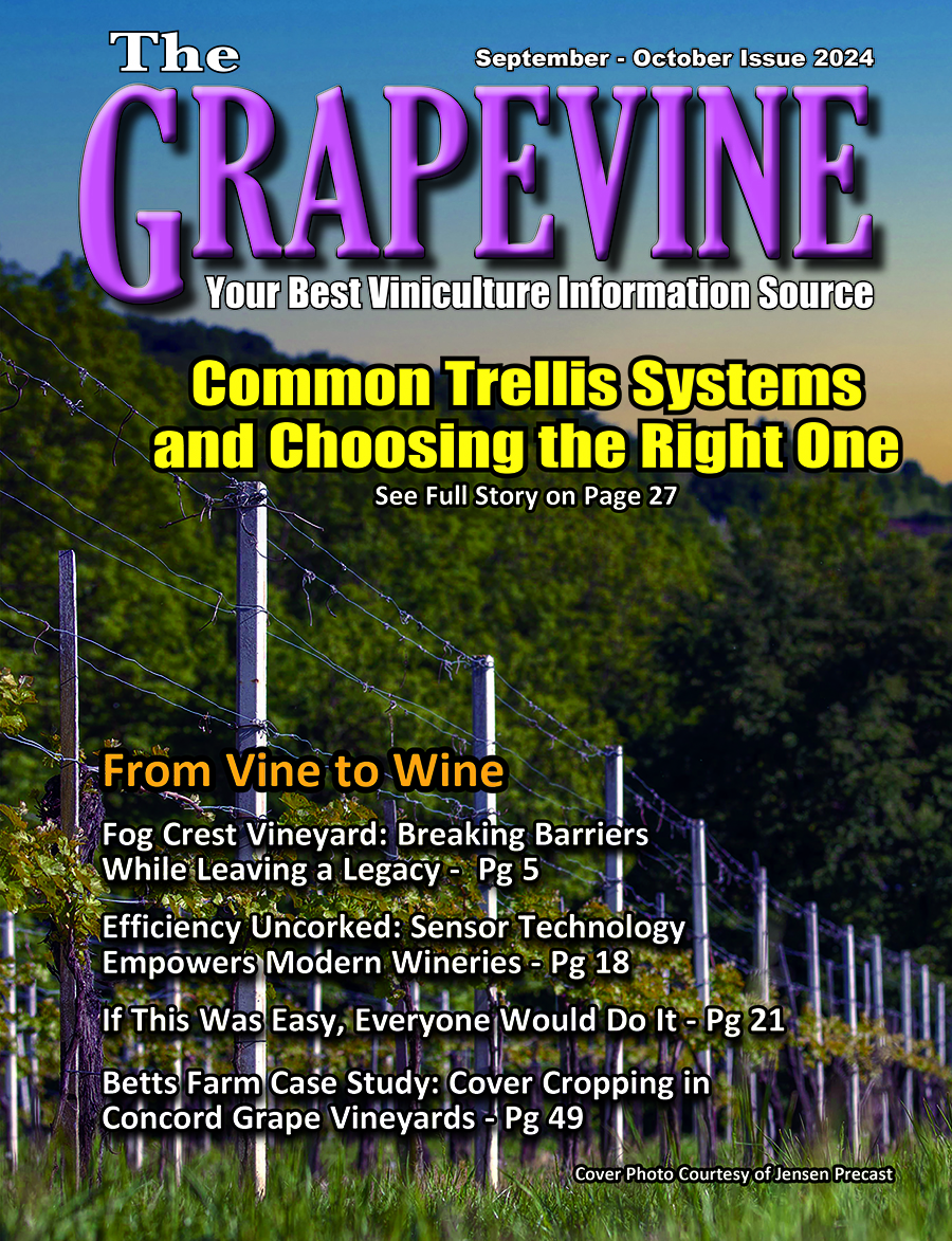 The Grapevine September-October Issue 2024