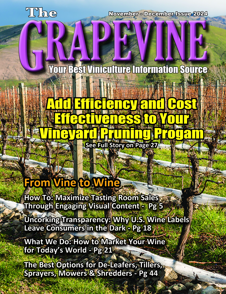 The Grapevine November-December Issue 2024
