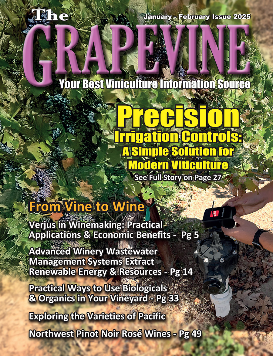 The Grapevine January-February Issue 2025
