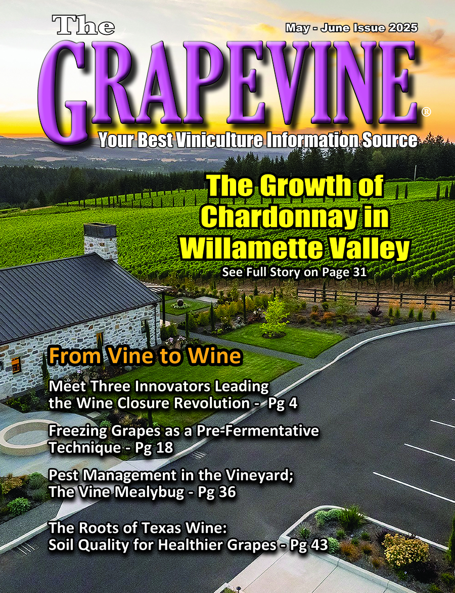The Growth of Chardonnay in Williamette Valley - Grapevine Magazine