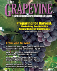 Grapevine July Aug 2025