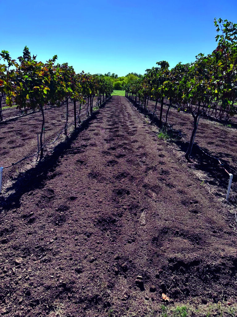 Medlin Clay Soil Midrow in the North Texas Region
