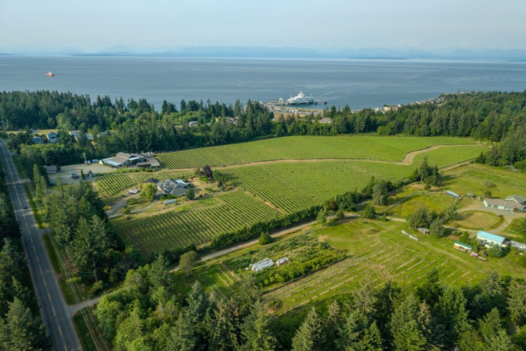 ariel view of canadian vineyard and winery