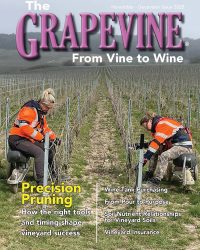 November December 2025