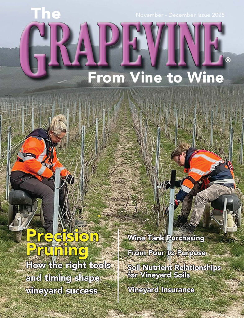 November December 2025