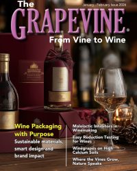 January February 2026