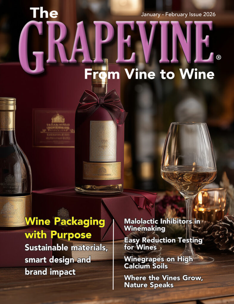 January February 2026